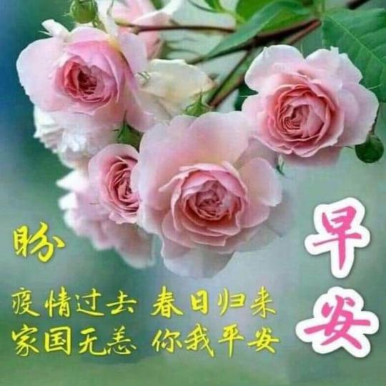 96D6297C-995D-4897-A9D3-5F50F30AEB55-5915-000002A3B210BAA5