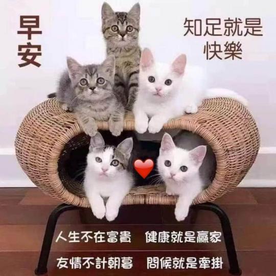 96F0AAA6-65BE-413A-8E2F-241A1B6F9302-15013-0000019873672B4A