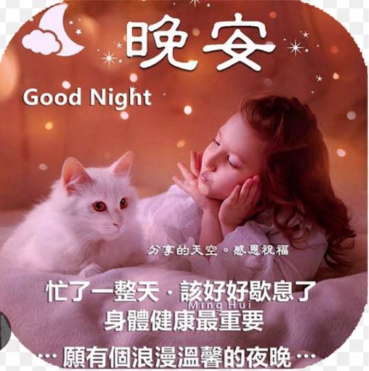 96FFEC1B-D449-4F02-8268-62D78A0BAE21-41503-0000049032418FBB