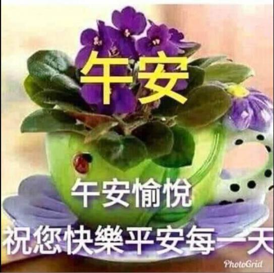 9825D00F-10AB-4864-AFCE-B7100CF612FB-9537-000005AA84C22970