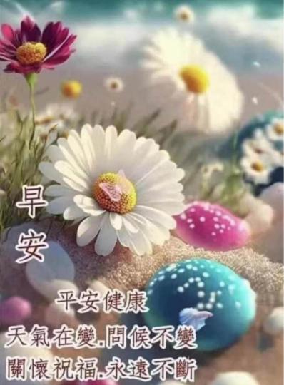 984ACFC1-254B-48B7-A2A2-C89D8CBD903E-273-0000000293FD225F