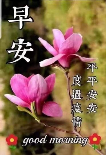 99A57FAD-9C45-450A-B72D-D02F82B398D6-59301-0000116E5ECC721D