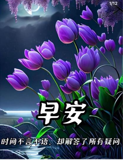 9A36838F-8FC9-4B2F-8EF9-81918907807E-47459-0000048011B87376