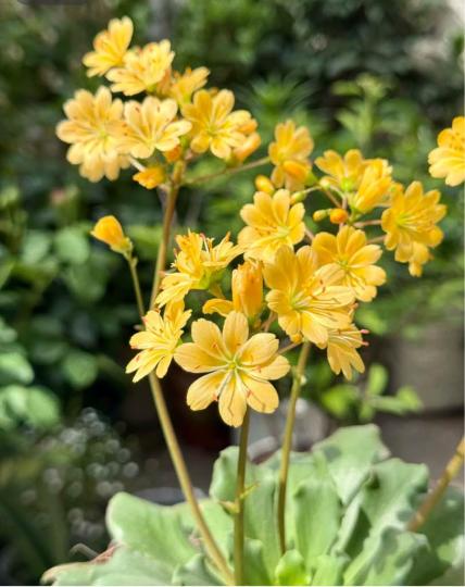 9A38B126-C24F-4B12-96FB-C0D495596D46-53578-000004C71243CE78