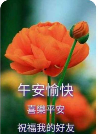 9AD8EFB2-0DD3-469E-8AF7-B05132442860-17692-000001E290E8AF62