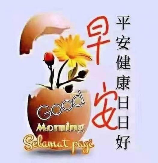 9AE5F284-37CD-42C2-B86B-568AE8F33734-3135-0000006531C90F3B