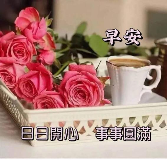 9B15AD3E-3AEC-4146-86FE-6DF996473E94-29434-000002914E7FD92D