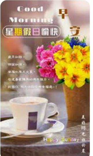 9BFEA91C-B5DB-46AF-B823-6940DEC622B7-11850-00000133C574AD5B