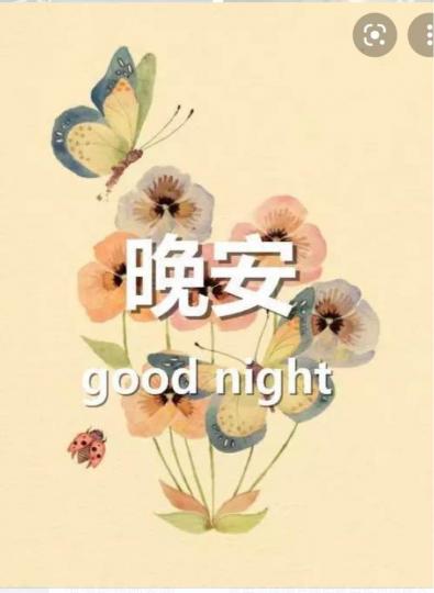 9C03E1AB-5EF7-4370-A9D4-192953F9893A-10882-000002598635392C