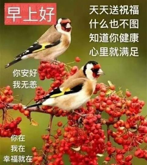 9C97DCF7-E480-4F99-A98D-8B98666950C5-25486-00000DF7E1A60CEA