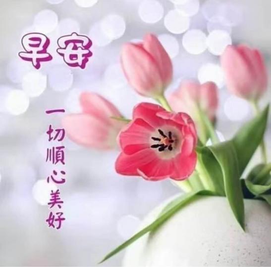 9CCD018D-89A3-4059-AC10-800797742A30-25667-000004D2253FC746