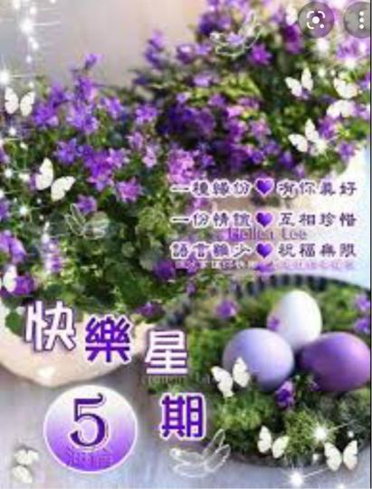 9CF2460B-9569-4296-A63E-60F814F723E2-38314-00000488DC2E25F1