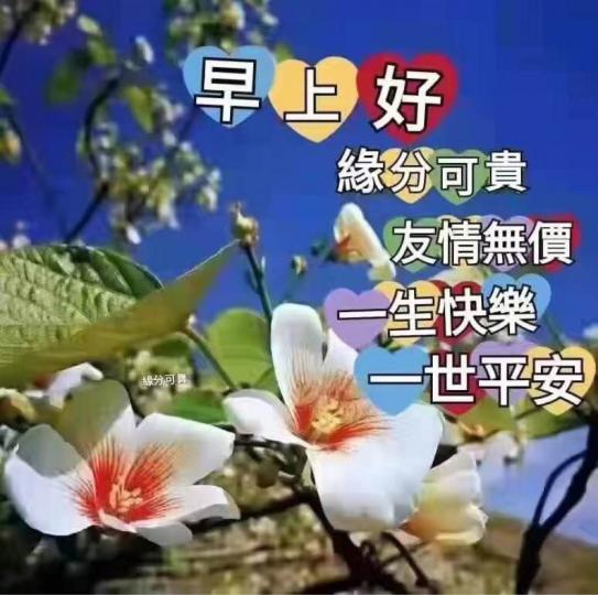 9ECA8404-85D3-4DDA-B79B-A1B34493FDAD-33060-00000452594705D1