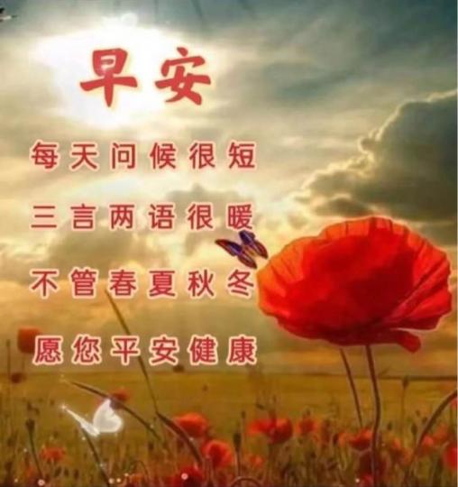 9FC583AA-7BAE-4BC0-93CB-241E9DA39749-315-000000050A2831C0