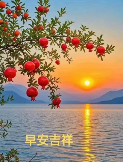 A0ADBB0E-26E5-497A-B9A9-E2520AE36193-15917-000001A4D5D31171