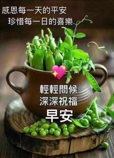 A0FD1071-0902-467B-B9A1-7F9DE8D2B122-17643-000001EEAA8CDC3F