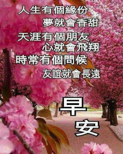 A0FF87AE-EF91-4E35-AB73-621033199160-7258-000000C65CE91214
