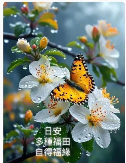 A15B9AAC-9980-42BE-A8A4-C18DA3A7C118-42988-000004937AF2653A