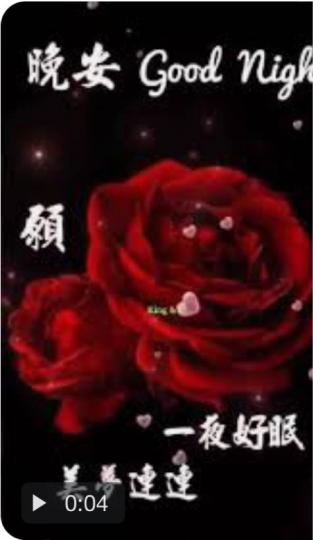 A2CFB5E6-8026-48AD-A9DD-D349C4E1B618-21568-0000023C70DF629D