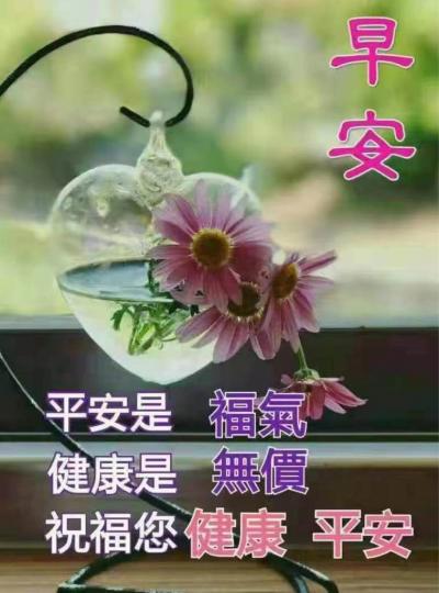 A309B115-EAE3-4469-B5B0-CEA798B3D8B0-1995-0000005D7E43C5B7