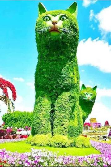 A336DA9A-CC20-484B-A7F7-7A7AF06F4A0B-56448-000004FE38B6C105