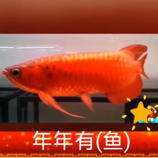 A3D4F20D-71B6-4495-B2AC-7939D1DA726C-1939-000000F2389A6BC3