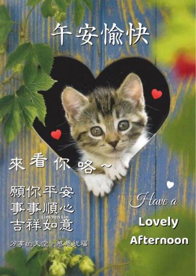 A47A5C6C-63C6-4F1F-A7BD-CCF1DC757E53-14699-0000019DF1453DDB