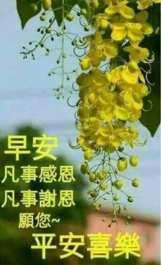 A585A37D-E8F3-4D8A-B39A-03CD9E58DE92-34487-000005C608EF0239