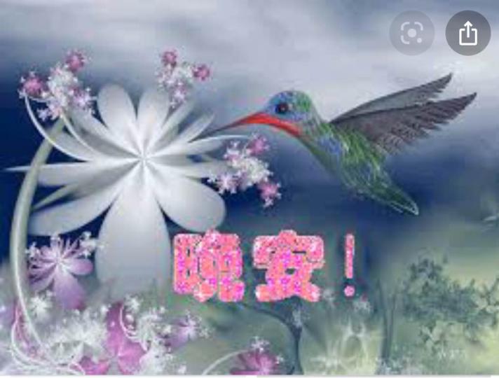 A68F349E-7B2A-4C30-A56A-CE1D716C908A-411-0000000B7F7A5F48