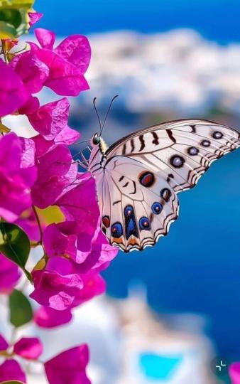 A761D8C3-012E-4E7A-A123-3B2D7E42AFA6-65646-000005B2ACDCCA9C