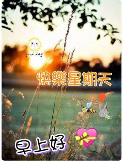 A798CCA0-EEC2-4336-A66B-650E6D9CB843-5491-0000036DB50BF69E