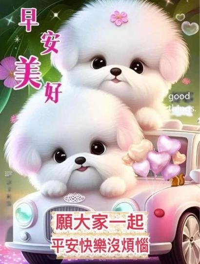 A7D21D94-F766-47BE-9020-13E76B55647A-22288-000003507053DDCF