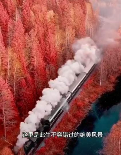 A82172AC-5A21-4557-89B8-50F4DC6BA0F5-8952-000003149841D334