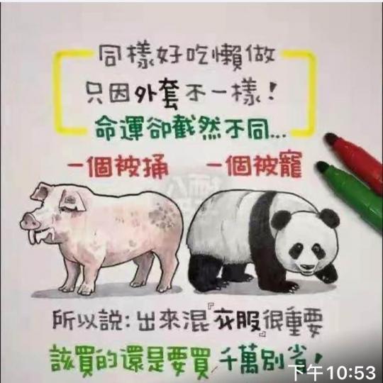 A954D6F6-BCC0-44A3-AAE1-4B3A83DFB50A-1017-00000B34CBA05A46