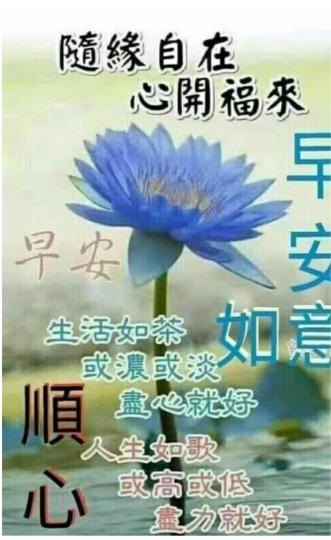 A9BE4F6F-336A-489E-9D4E-530C8F827FCC-1817-000000EAA523F278