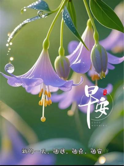 AA288005-BF8C-4FCF-9DB9-FB48F0D2564D-79267-0000066CDD6CCA70