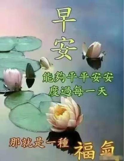 AA75C6A6-85AA-4458-928F-67734A649C6A-29922-00000386F6B4CF47