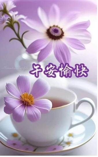 AD139689-A66C-4DAF-B28A-2485F25BDA59-6018-0000009E8BFFE856
