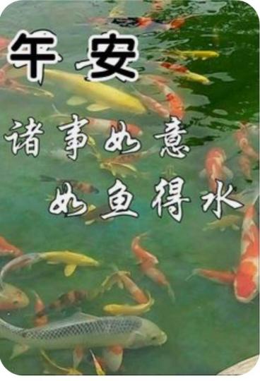 AD1A2FF3-548B-4F35-869C-BB3D1788AD29-64254-0000078D067736D5
