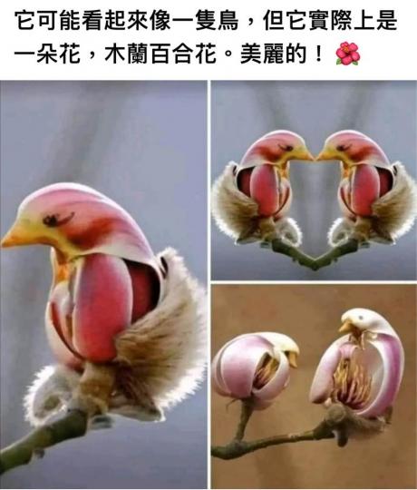 AD2389F1-AE80-46B4-A40E-621DDA34EF0E-49687-00000596588E69E3