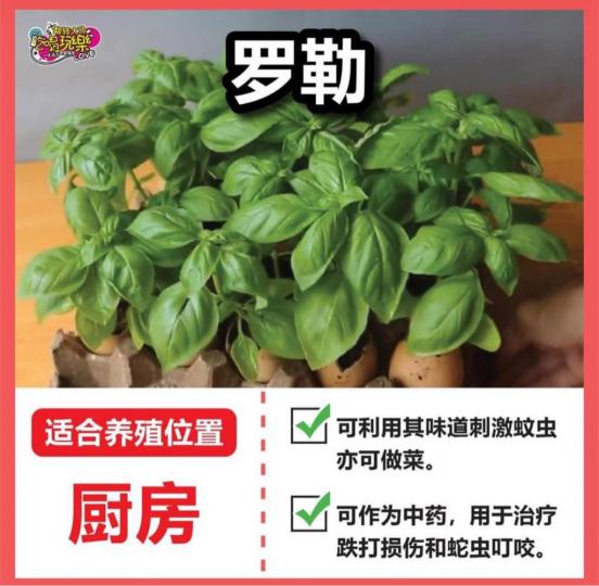 AF38E654-BAA3-4FA4-B00C-BFAA6E20926B-88384-00000A66CB9CC06E