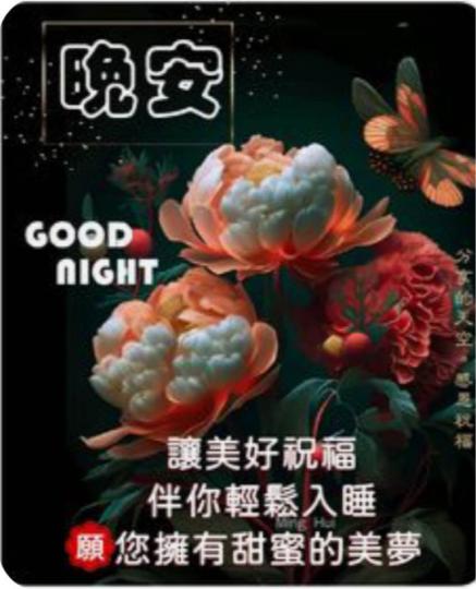 B045632D-B4CD-47FE-8D27-A758C31A63C0-25127-0000149B210028AC