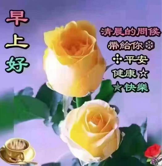 B05ADE5B-E8EB-40D1-8A44-96205EA170D7-36597-000003E6D5258F50