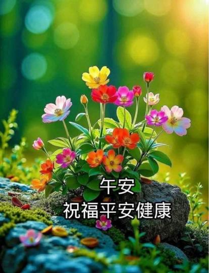 B1A3923B-23AC-49C8-829A-1872027E2067-66672-00000EA203757261