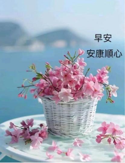 B1AC461B-5435-4C0B-9C41-17D6D6E0A34E-10239-00000118DA27DDBA