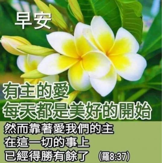B1B64EA7-CB34-473A-86D8-595D03762C48-10997-0000013E3AF31AED