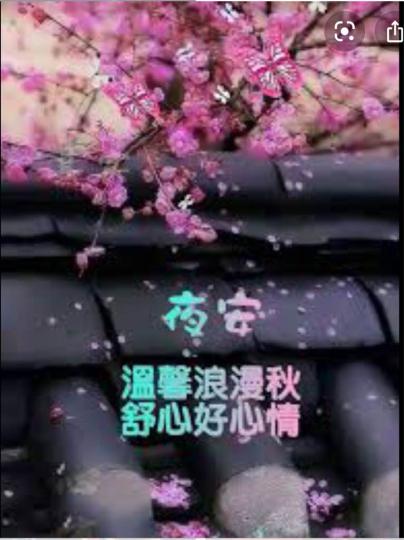 B1F678BA-4A89-46D6-9A55-603511597DD7-15094-000002DBBDEC649A