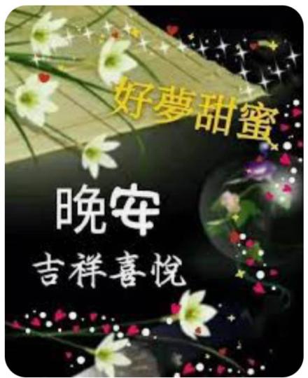 B358B196-D5D9-41CB-8CDA-DA0CE1A849E7-29842-0000033BD3FC538F