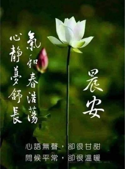 B3FFDA02-68B2-432F-8E52-CF7C20AC6714-51752-00000596100BDD4C