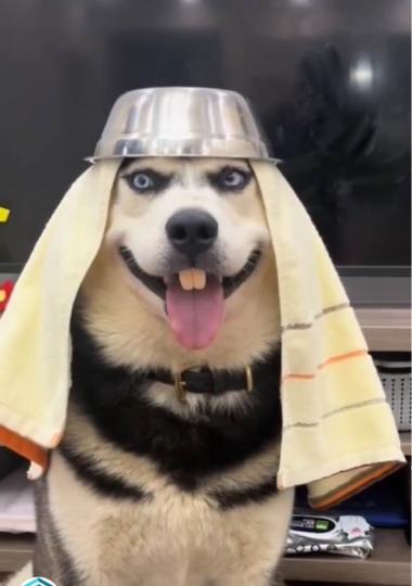 B413018A-537E-47C5-88DE-F10F9C249D7C-27166-000002C73243E3D1